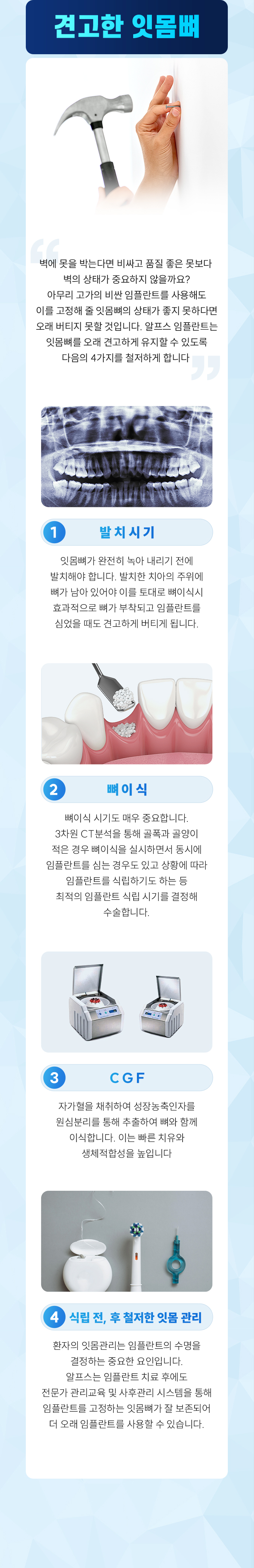 견고한 잇몸뼈